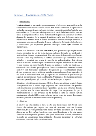 Informe-tib-1-Electroforesis.pdf