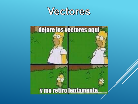 Vectores.pdf