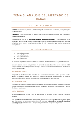 tema-5-analisis.pdf