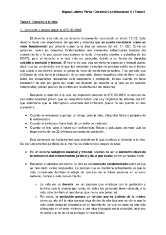 DCIII-T6-miguel.pdf