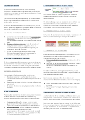 T.pdf