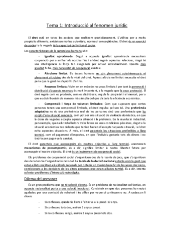 Apuntes derecho.pdf