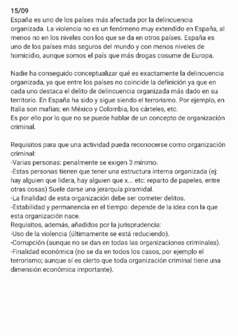 Criminalidad-Organizada-APUNTES-CLASE211201201836.pdf