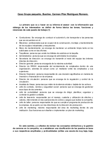 Caso-Organizacion.pdf