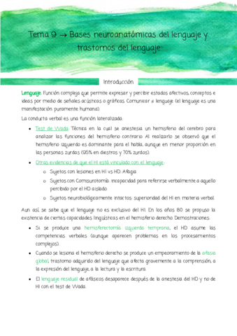 Tema-9-Lenguaje.pdf