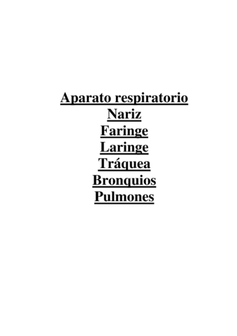 ESQUEMAS-Sistemarespiratorio.pdf