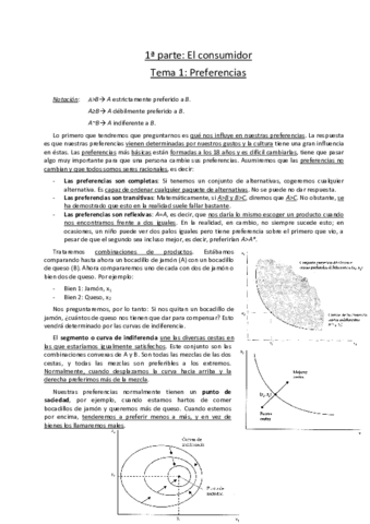 Temario completo Micro.pdf