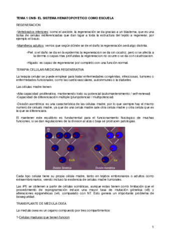 TEMA-1-CNB-EL-SISTEMA-HEMATOPOYETICO-COMO-ESCUELA-.pdf