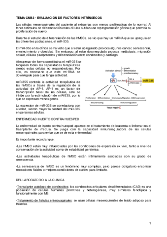 TEMA-CNB3-EVALUACION-DE-FACTORES-INTRINSECOS-.pdf