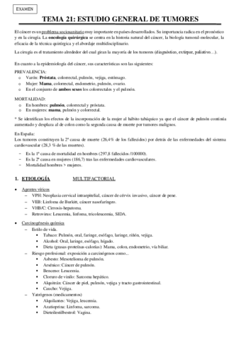 CG-Tema-21.pdf