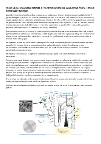 TEMA-11.pdf