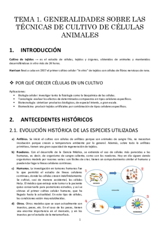 t1resumen.pdf