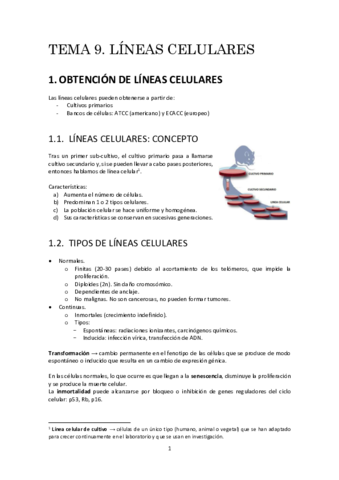 t9resumen.pdf