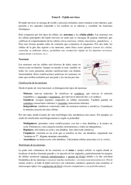 Tema 8 - Tejido nervioso.pdf
