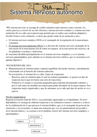 Sistema-nervioso-autonomo.pdf