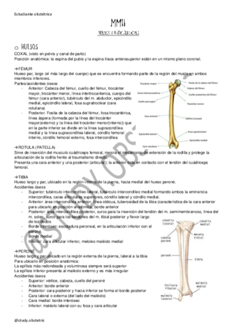 MMII-huesos-y-articualciones.pdf