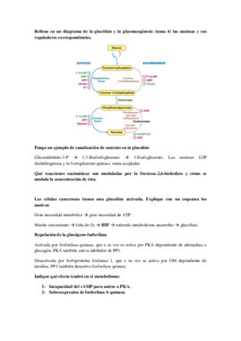 Cuestiones de exámenes.pdf