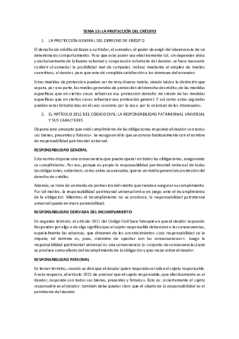 TEMA-13.pdf
