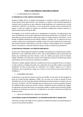 TEMA-14.pdf