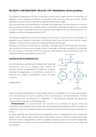 Bloque-4.pdf
