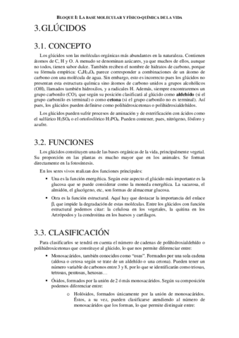 glucidos.pdf