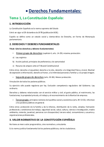 Apuntes-Derechos-Fundamentales-TODOS-LOS-TEMAS.pdf
