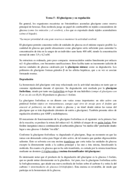 Tema 5 - El glucógeno y su regulación.pdf