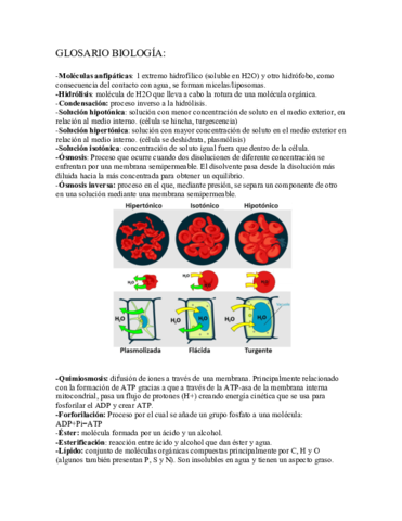 GLOSARIO-BIOLOGIA.pdf