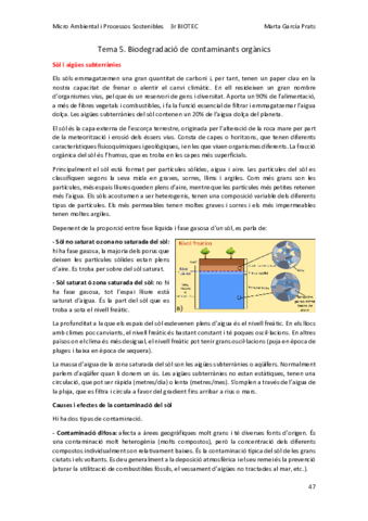 MAPS-Tema-5.pdf
