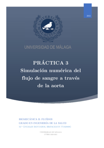 Practica-3-Simulacion-numerica-del-flujo-de-una-aorta.pdf