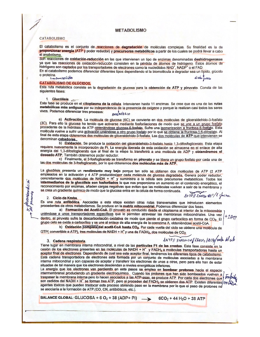Documentos-escaneados-26.pdf
