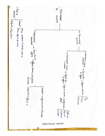 Documentos-escaneados-27.pdf