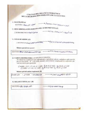 CALCULO-DEL-BALANCE-ENERGETICO-1.pdf