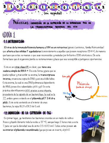 Practicas-biomol.pdf
