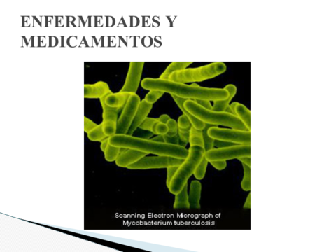 ENFERMEDADES-Y-MEDICAMENTOS.pdf