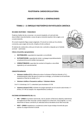 FISIOTERAPIA-CARDIOCIRCULATORIA-TEORIA.pdf