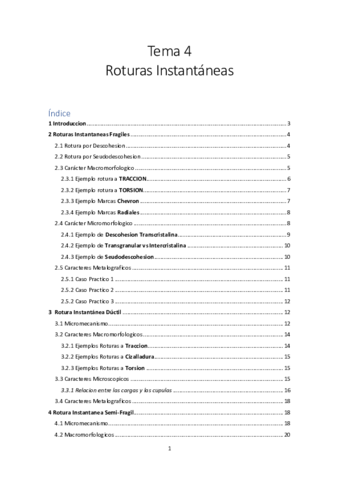 Tema-4-Roturas-Instantaneas.pdf