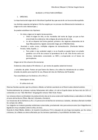 Bloque 6 .pdf