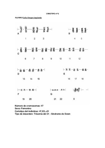 ResultadoCariotipo6.pdf