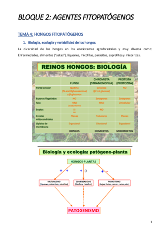 BLOQUE-2-Patlogia.pdf