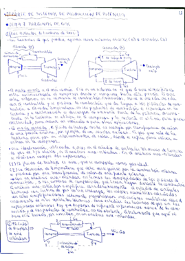 Ciclos de Brayton completo - Teoría Problemas y Exámenes.pdf