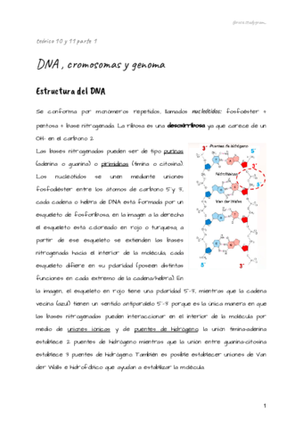 teorico-10-y-11-bcm.pdf