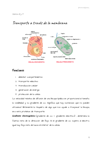 teorico-8-y-9-bcm.pdf