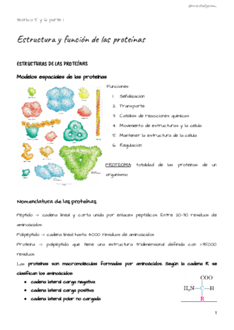 teorico-5-y-6-bcm.pdf