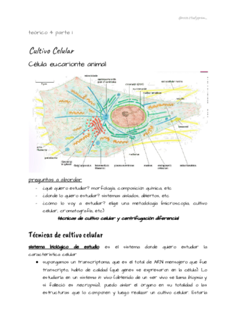 teorico-4-bcm.pdf