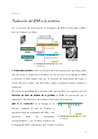 teorico-15-bcm.pdf