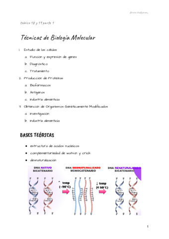teorico-18-y-19-bcm.pdf