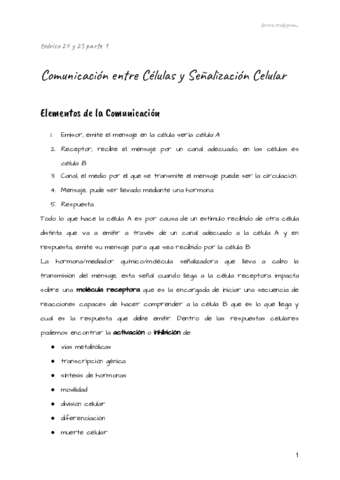 Teorico-24-y-25-bcm.pdf