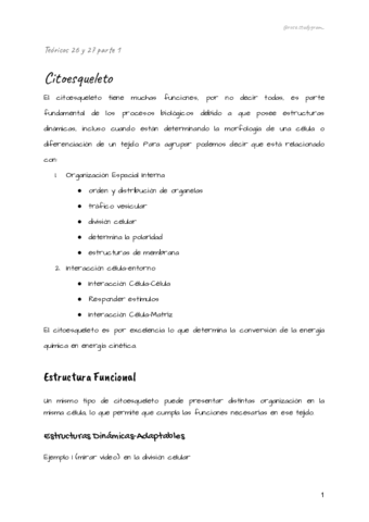 Teorico-26-y-27-bcm.pdf