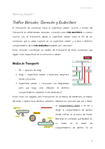 Teorico-22-y-23-bcm.pdf